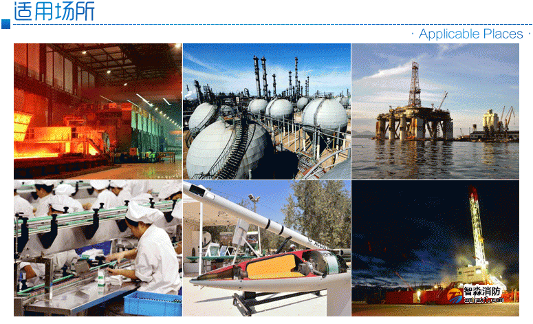 ZT-FBGY-2�m����ʯ����������܊����ұ������ˎ���ИI(y��)�к�����ȼ�ױ���Ϛ��w�Ĉ���